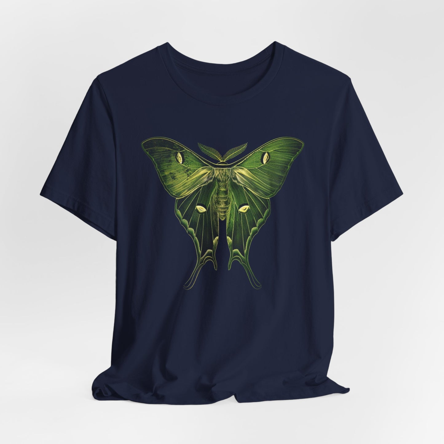 Beautiful Green Moth